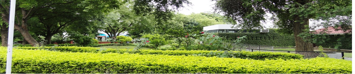 View of campus