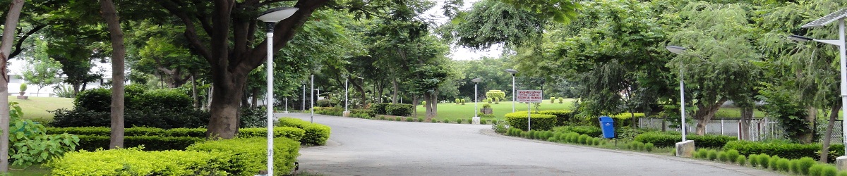 View of campus