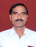 D P Sharma