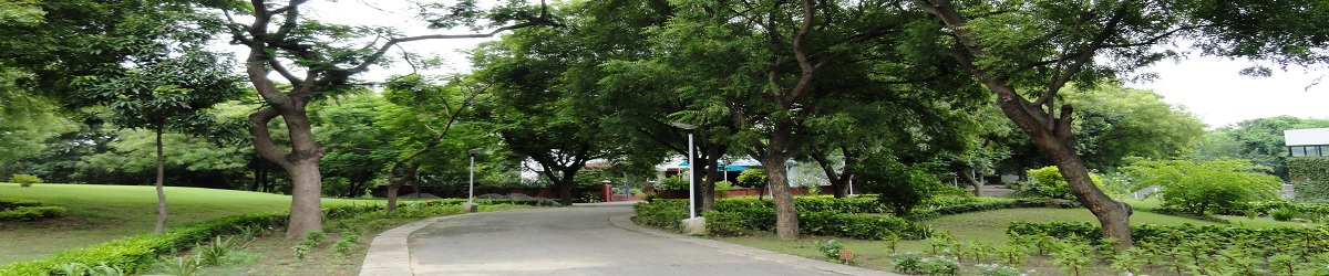 View of campus